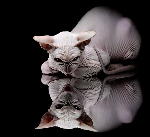 慈善赛奇景，梅西披上阿森纳战袍，加时绝杀曼联