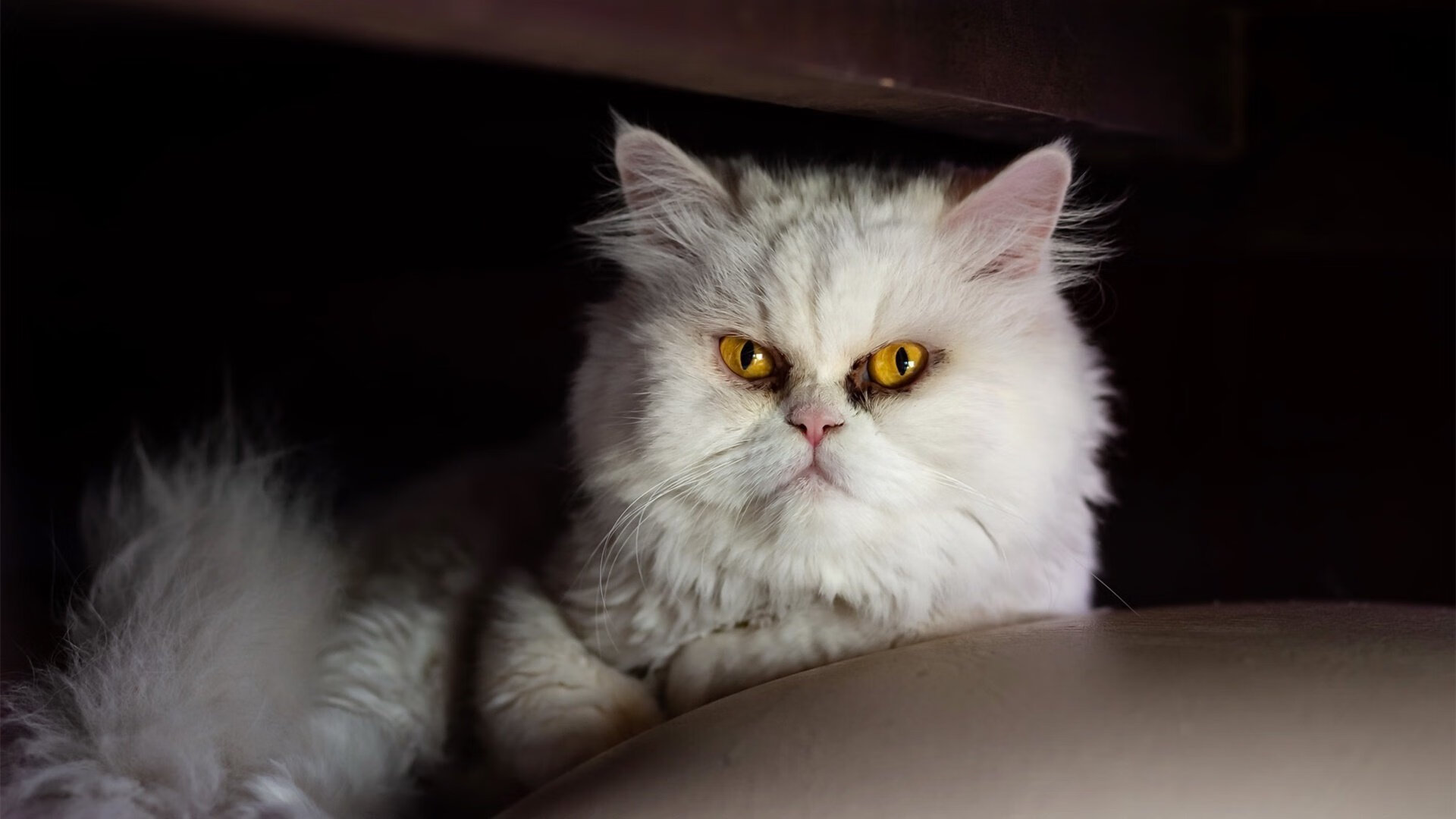 绝境中的桑巴之魂,戈麦斯加时赛封喉,巴西军团攻克莱比锡