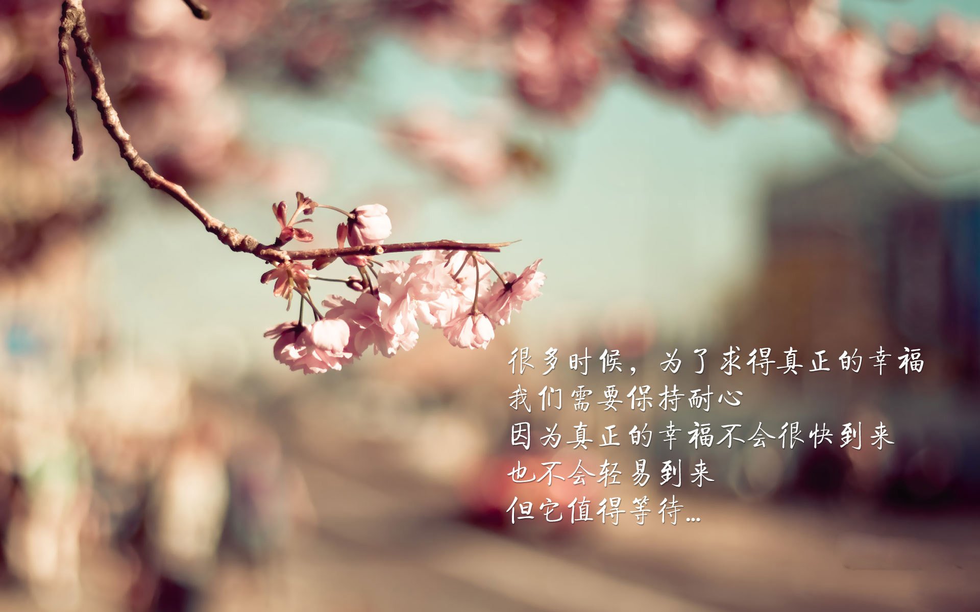 收割者的悖论,当步行者用火箭的残骸筑起王座,浓眉为何成了最意外的关键先生